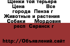 Щенки той терьера › Цена ­ 10 000 - Все города, Пенза г. Животные и растения » Собаки   . Мордовия респ.,Саранск г.